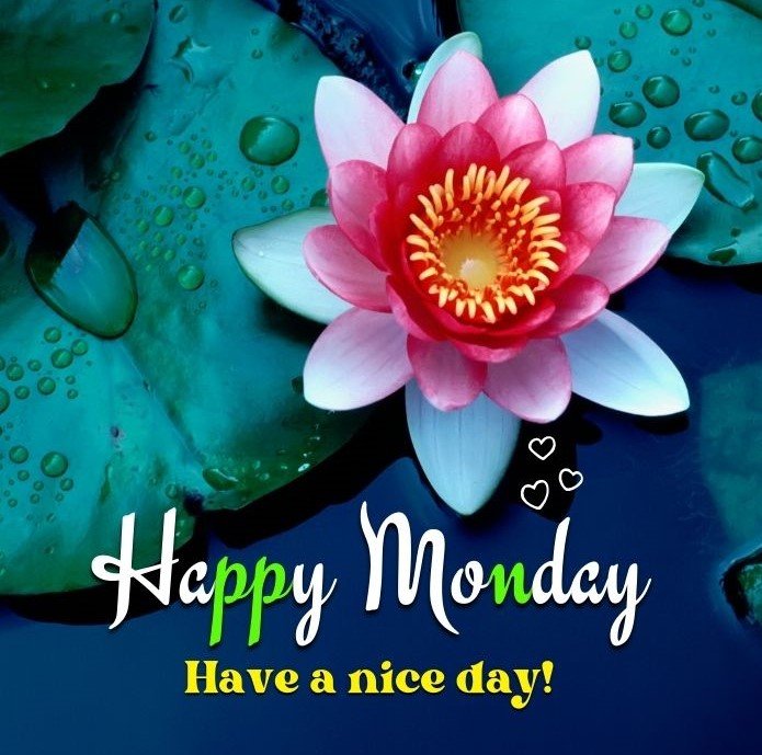 Good Morning Monday English Hindi Positive Text-Photos Wishes - Good ...