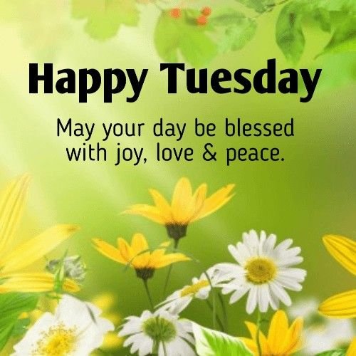 English Good Morning Tuesday Positive Quotes n Text Messages - Good ...