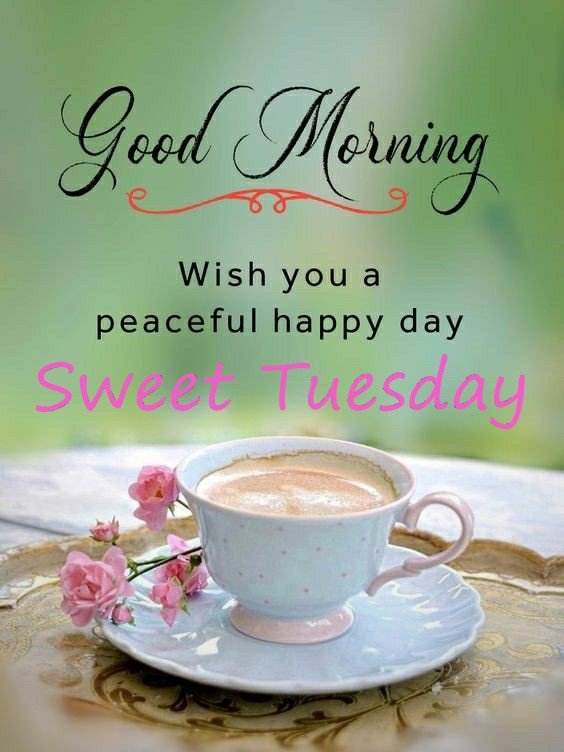 English Good Morning Tuesday Positive Quotes n Text Messages - Good ...