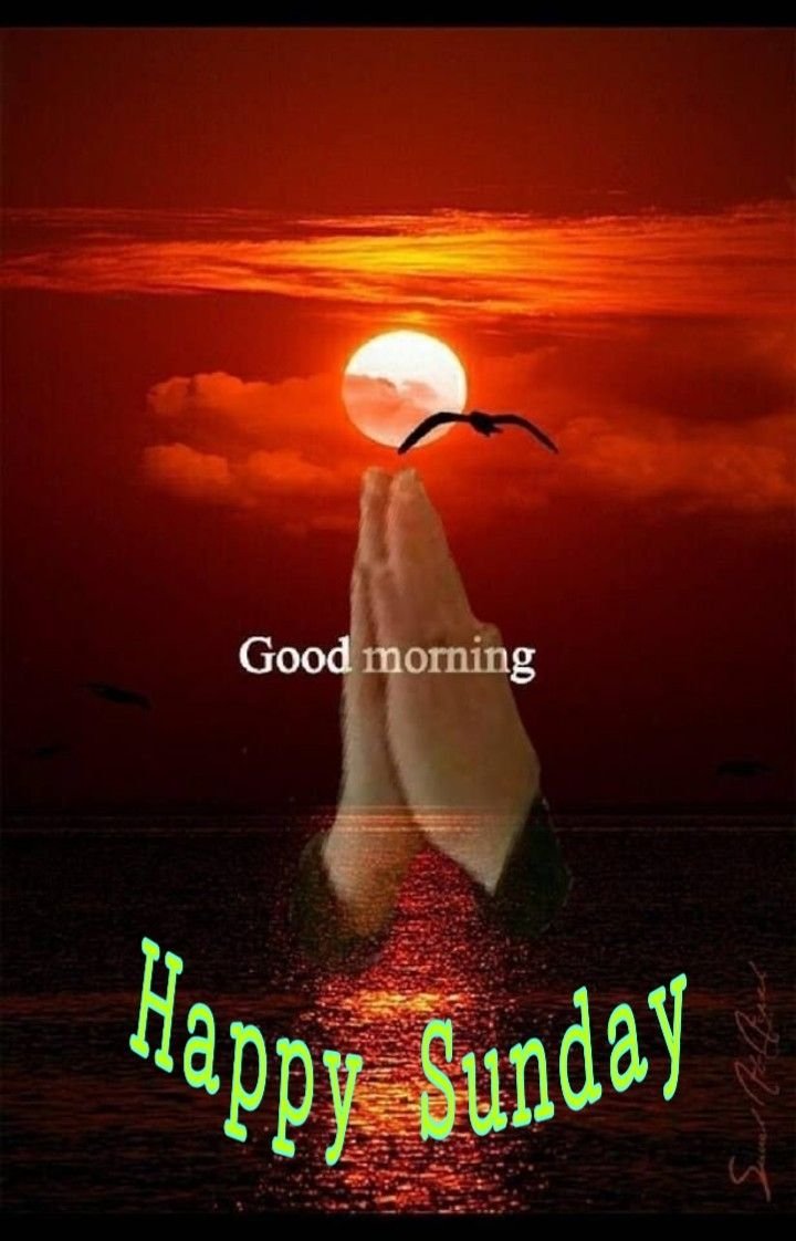 Good Morning Happy Sunday HD Special Images Text Messages Whatsapp - Good  Morning Wishes and Images