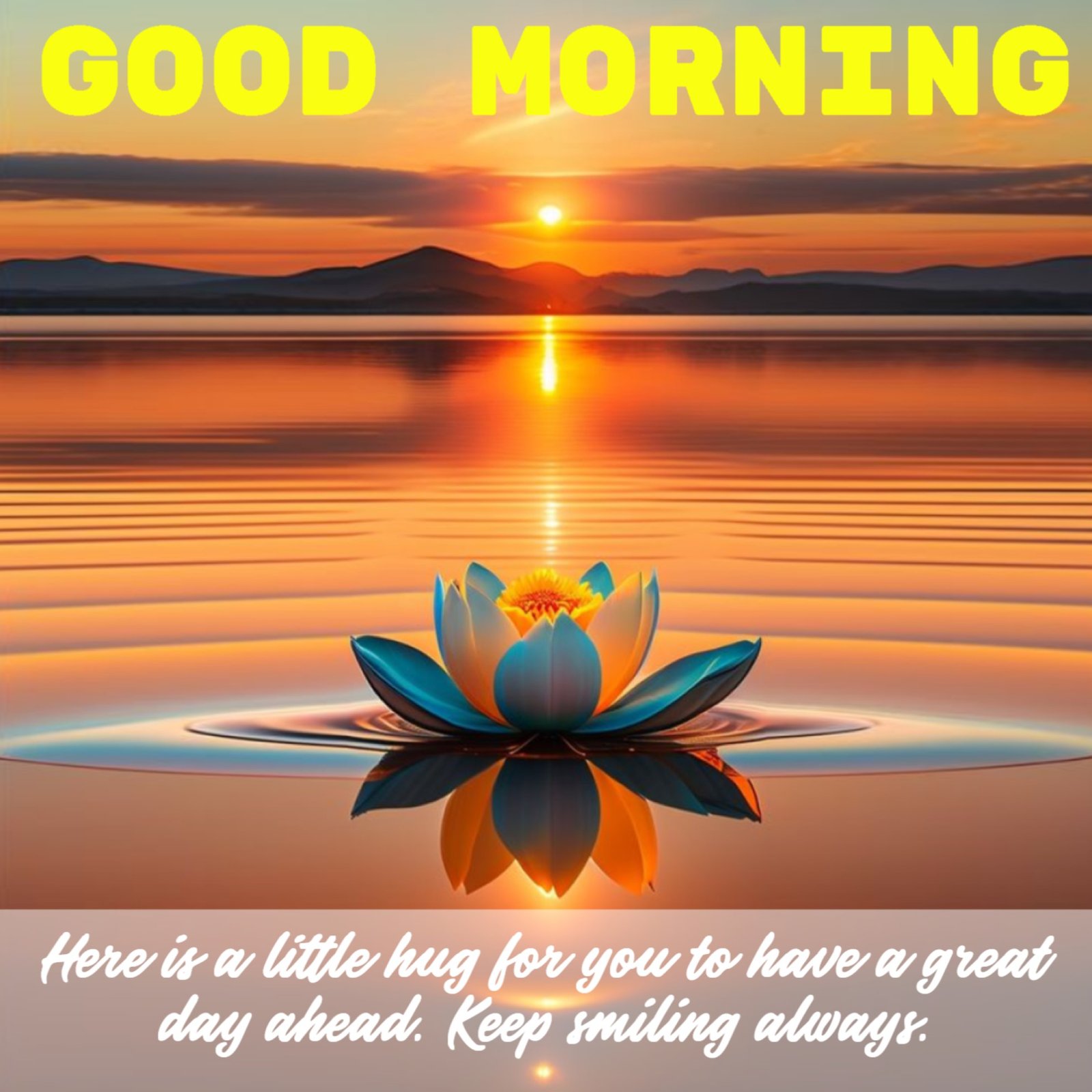 New Style Good Morning High Quality Lotus (Kamal Ka Phool) Flowers Quotes 2024 Images Whatsapp Blissful Elegant
